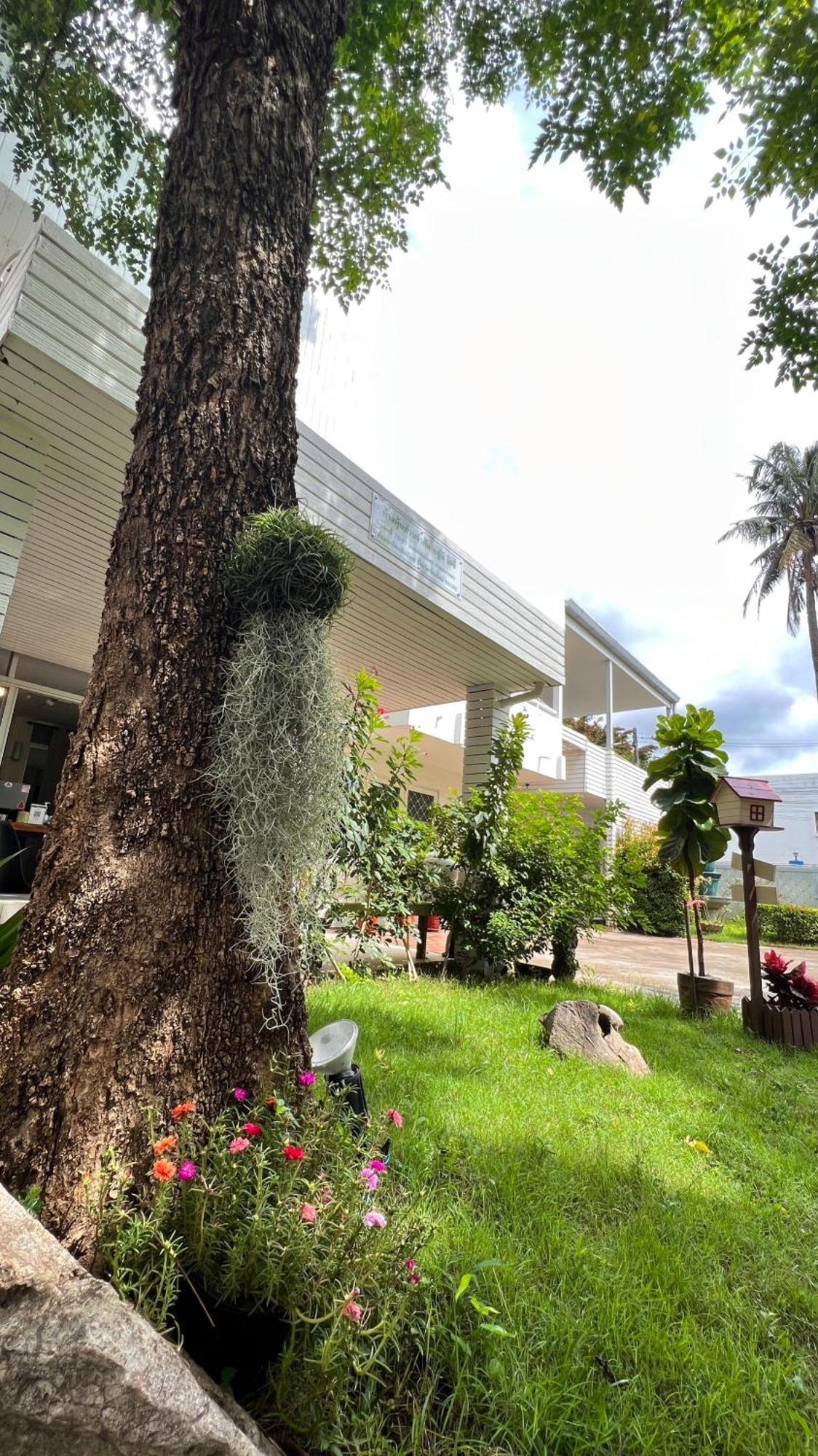 Udee Cozy Hotel Chiang Mai Extérieur photo