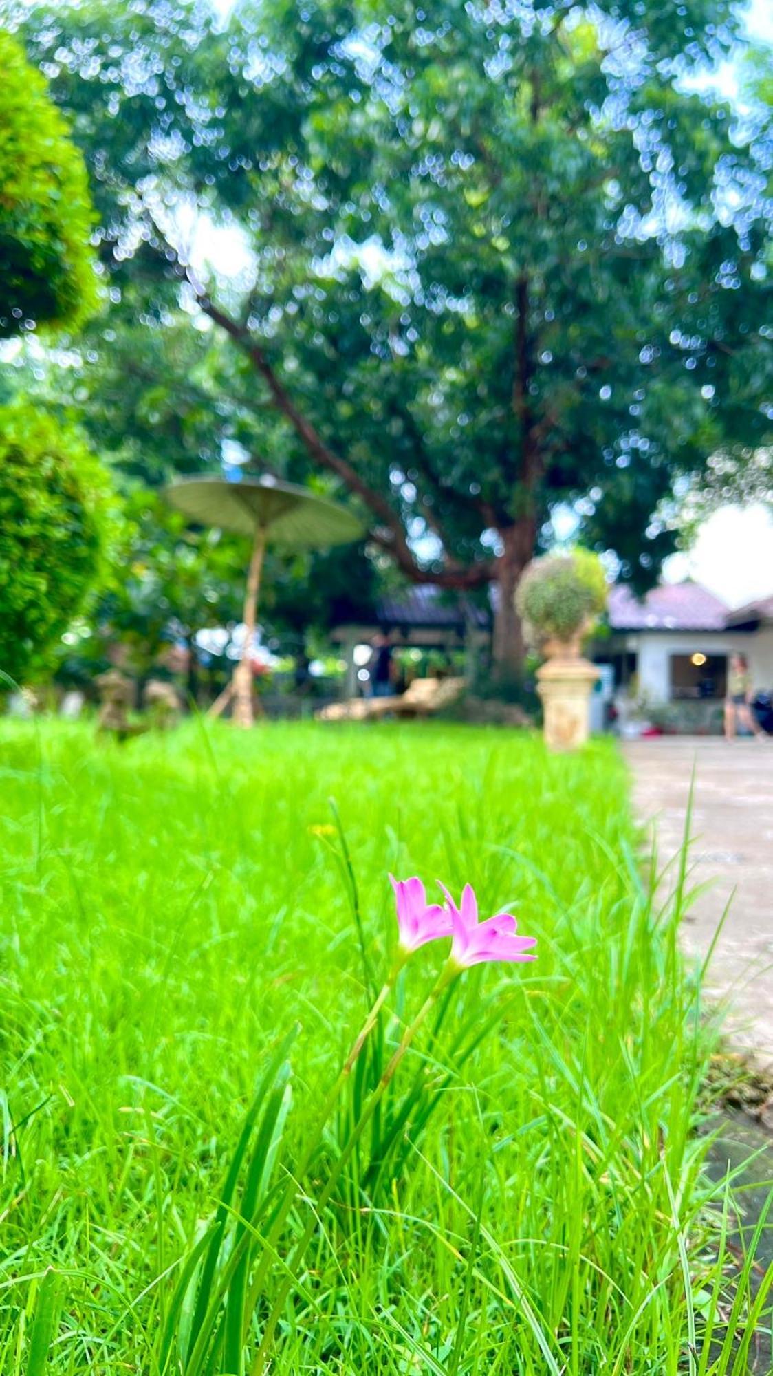 Udee Cozy Hotel Chiang Mai Extérieur photo