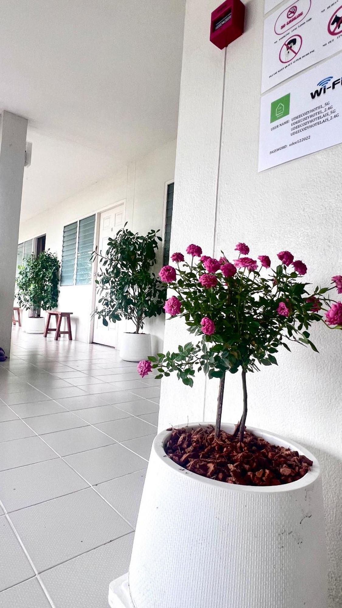 Udee Cozy Hotel Chiang Mai Extérieur photo